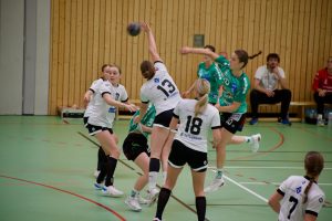 383085522_6966345680056202_4949273547291892641_n